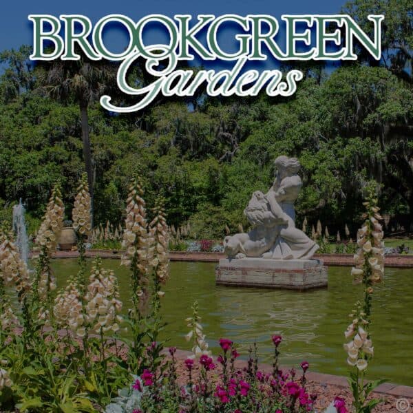 Brookgreen Gardens Ticketing for Less