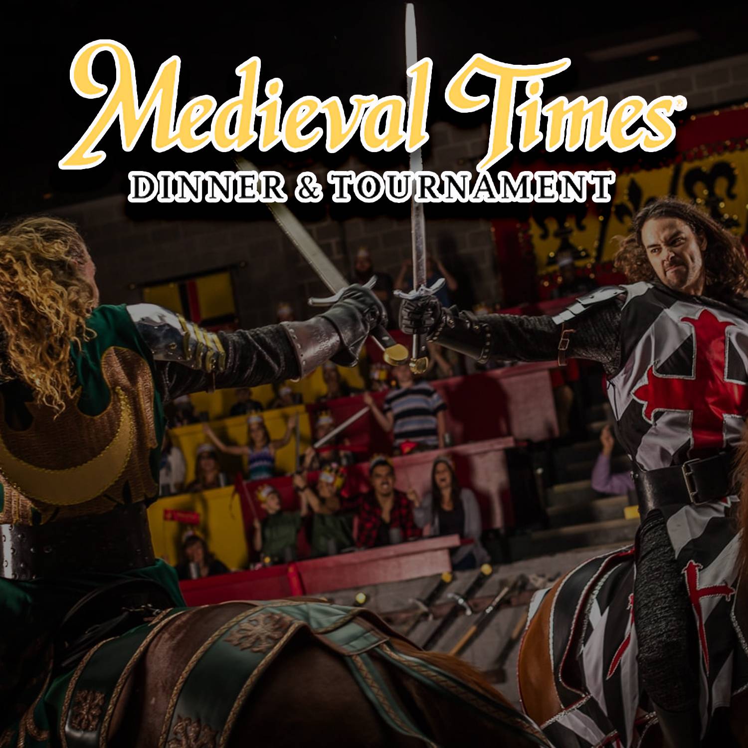 Ticket To Medieval Times Dinner and Tournament