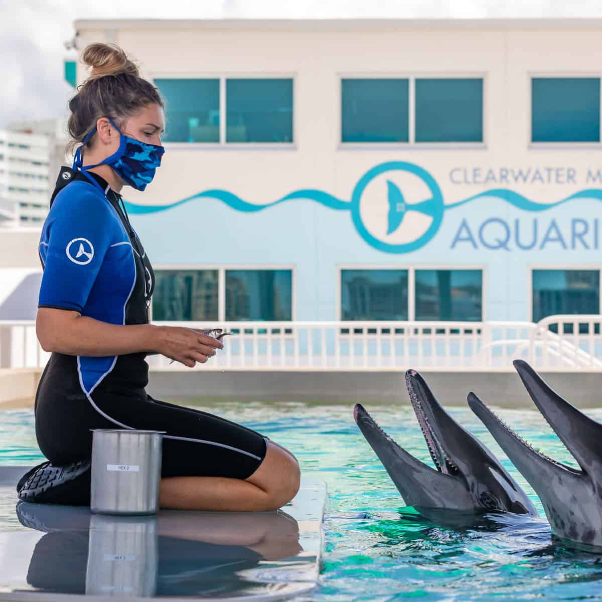 Clearwater Marine Aquarium Ticketing For Less